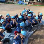 チューリップの球根を植えました🌷